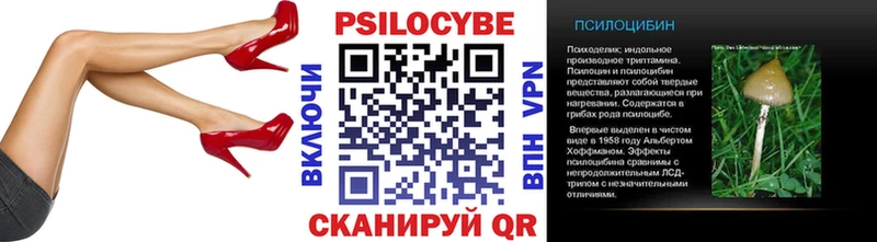 OMG вход Ярославль Галлюциногенные грибы Magic Shrooms